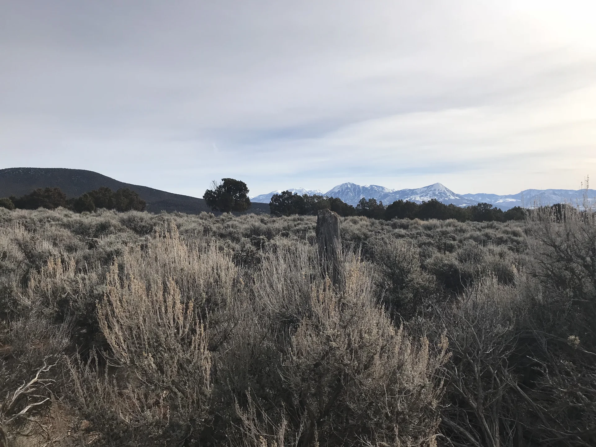 The landscape informing the site studies.