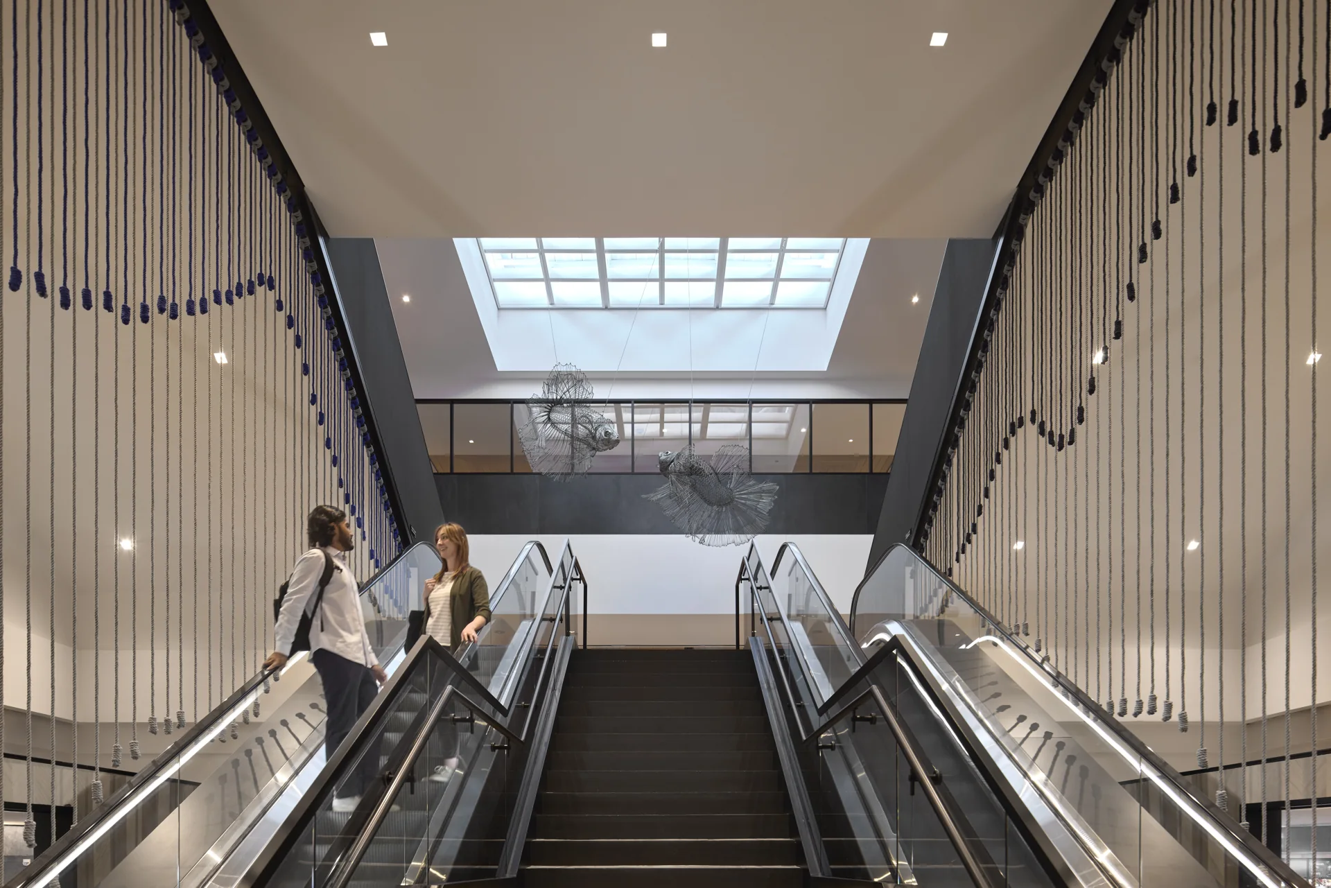 A naturally lit circulation space connects the levels.